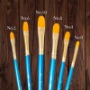 Kit De Pinceles Pinto Taklón Dorado Lengua De Gato 6