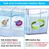 DaToo Fish Breeding Box Aquarium Holding Tank Transparent Fish Isolation