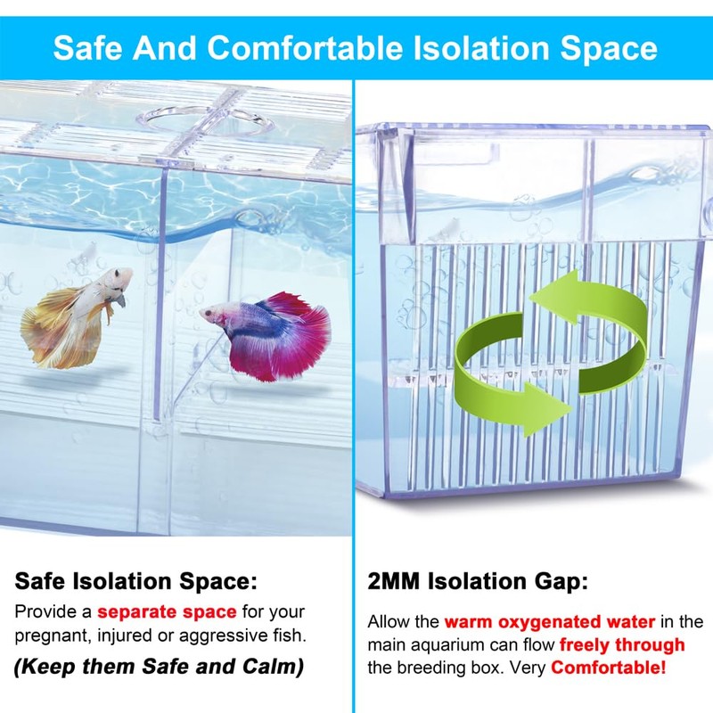 DaToo Fish Breeding Box Aquarium Holding Tank Transparent Fish Isolation