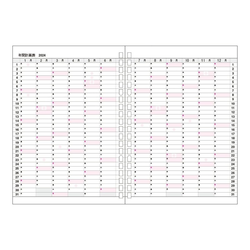 Collect C-757 2024 Diary Leaf (Process Diary for 15 Months),