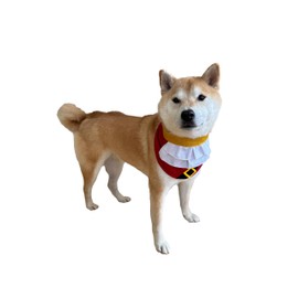 ComfyCamper - Disfraz de pirata para perros, talla XS XXL con cuello divertido para cosplay, disfraz de capitán de barco, Halloween, L