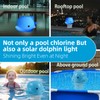 AHJ Solar Dosing Float Pool, 24 cm Dolphin Chlorine Float