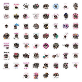 LQIOACU Pack of 60 meme stickers, Sad hamster funny stickers, meme stickers teacher, waterproof cute cartoon animal stickers for laptop, luggage, car, phone, scrapbook, B, multicoloured