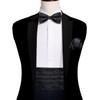 Barry.Wang Cummerbund Bow Tie Set for Men, Silk Cummerbund Pretied