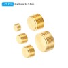 PATIKIL 1/8" 1/4" 3/8" 1/2" 3/4" NPT Brass Hex Countersunk