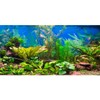 AWERT 48x24 inches Aquarium Background Aquatic Plant River Bed &