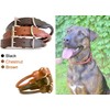 SIE Rolled Leather Dog Collars (14'', Brown)