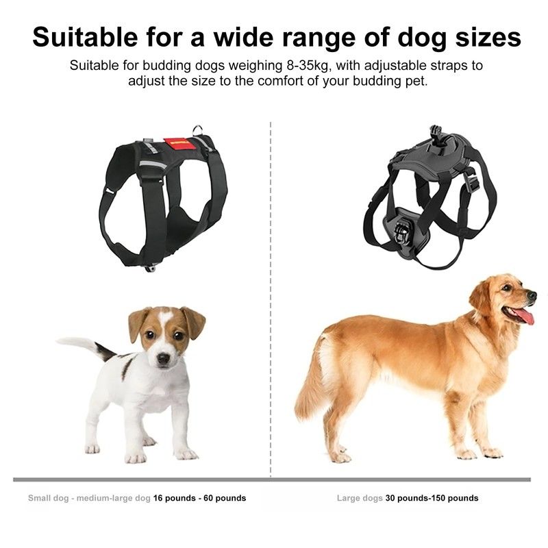 Dog Harness for Gopro, Dog Harness Vest with Buckle Mounts