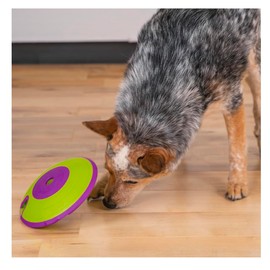 Interactive Dog and Cat Games Treat Hiding Challenge Mental Stimulation with Rewards (7.5 Inch Treat Maze Game)