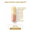 Rhodiola Rosea Complejo Cápsulas 500 Veganas Pasiguaro Energía