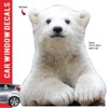 Animal Car Window Decals Funny 3D Weatherproof Decals (Polar Bear)