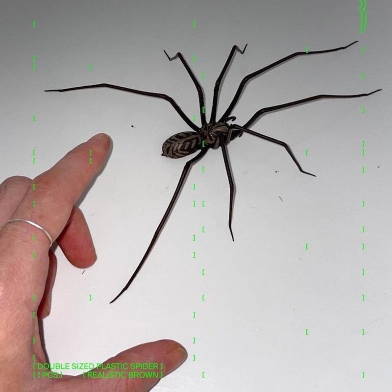 Realistic Simulation Spider Sticker for Fridge Decor Realistic Simulation Spider