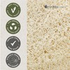 Hydréa London Organic Egyptian Loofah Luxury Exfoliating Body Pads Natural