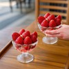 Mezchi Set of 12 Ice Cream Bowl Set, 8 Ounce