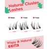 Natural Eyelashes Wispy Cluster Eyelashes C Curl DIY Eyelash Extensions
