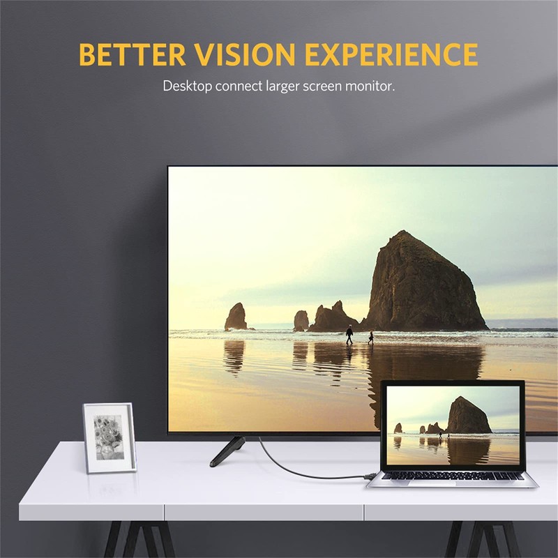 Ugreen 11617 DVI 24+5 to VGA Dual Link Cable, 1.5