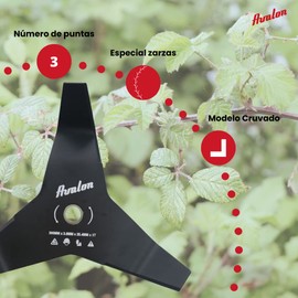 Avalon - Universal 3-point blade for brushcutter, 3 mm (300 x 3 mm) steel blade for cutting brambles and dense weeds, crushing weeds in maintenance tasks.