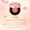 pure color cushion cheek