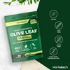Olive Leaf Extract Capsules 20,000mg | Wild European 20% Oleuropein