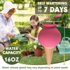 Plant Watering Globes,Self Watering Pots for Indoor Plants,Self Watering Planter