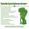 Royal Green Frankincense Hojari from Oman Boswellia Sacra Pure Incense