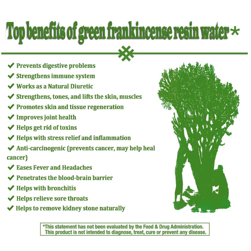 Royal Green Frankincense Hojari from Oman Boswellia Sacra Pure Incense
