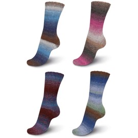 Regia Sock Wool - 6 Thread - Colour Colours - Sock Wool Set 4 x 150 g Knaul - 375 m Running Length per Knaul - Felt-Free and Superwash (Regia Set 2)