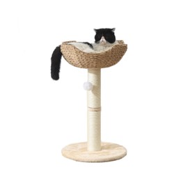 SHENGOCASE Small Cat Tree Tower with Rattan Wicker Basket, Handwoven Nest Basket Bed, Window Perch for Large Cats up to 25LBS