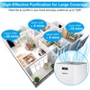 Kokofit Air Purifiers for Home, H13 True HEPA Filter, Allergies