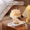 Saussavita Reed Diffuser Set for Home, 7.1 fl oz /
