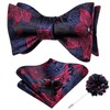 Dubulle Self Tie Burgundy Blue Bow Ties and Lapel Pin