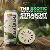 De Mi Pais Soursop - Guanabana Juice with Pulp, Premium