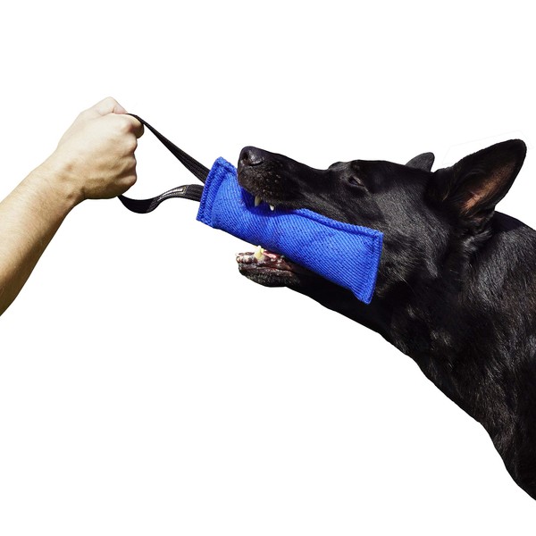DINGO GEAR French Material Bite Tug for The Dog Training, 1 Handle, Blue S00061