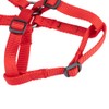 EXCELLENT ELITE SPANKER Cat Harness Walking Cat harness Adjustable Nylon