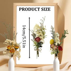 HONGECB 6 Bundles of Dried Flower Bouquet, Small Natural Dried Flowers, Dried Flowers for Crafts, Mini Dried Flowers for Gift Home Furnishings, for Picture Frames, Scrapbooking