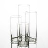 Eastland Set of 4 Cylinder Vases and 4 Lavender Richland