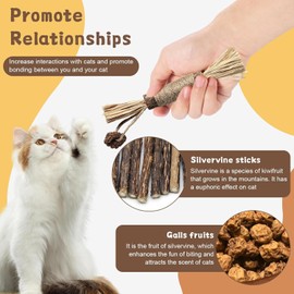 Juguetes para Gatos Gato Catnip Dientes Limpieza,Hierba Gatera Palitos para Masticar Limpieza Dientes,3 Cuerdas de Mordida para Gatos y 5 Palitos Masticables Naturales de Matatabi