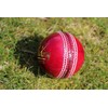 Cricket Balls 6 pack - Red Leather Match Quality (Youth/Junior/School)