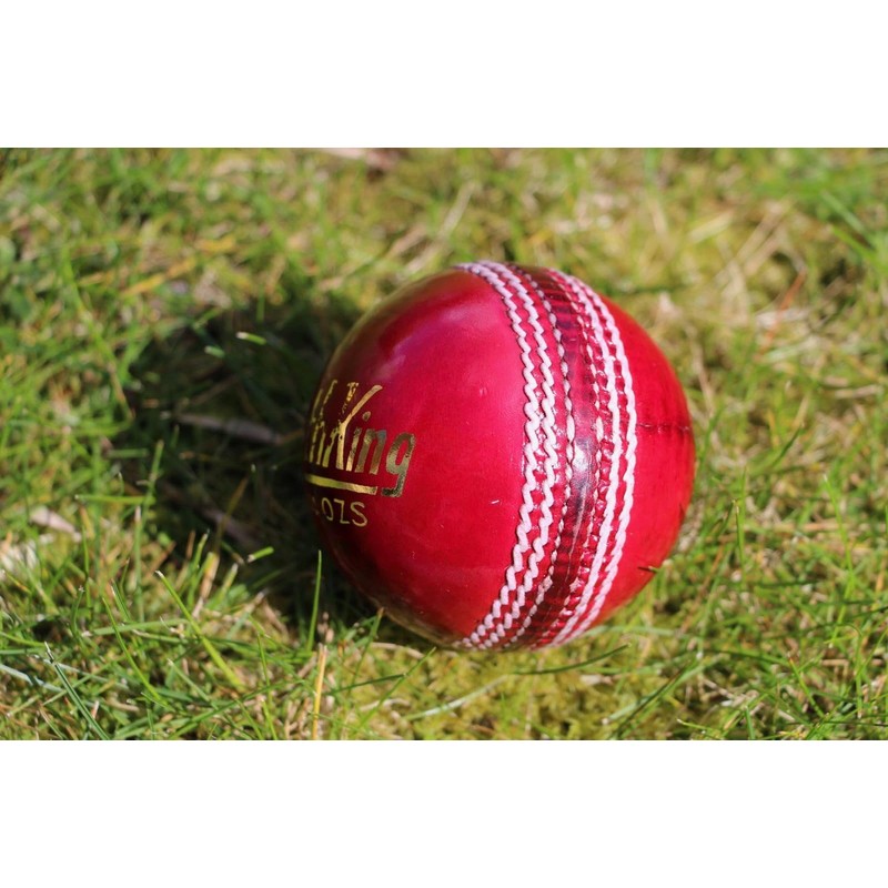 Cricket Balls 6 pack - Red Leather Match Quality (Youth/Junior/School)