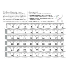 Lupine 1 inch Bling Bonz Roman Dog Harness