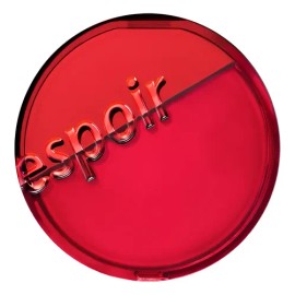Espoir Protailor Bevelvet Cover Cushion 13g Spf34 Pa++