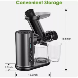 Timford Juicer Machine Masticating Juicing Veggie Fruit Extractor Cold Press 2Speed Mode