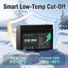 12V 20Ah LiFePO4 Lithium Battery, 2000+ Deep Cycles Rechargeable Battery,