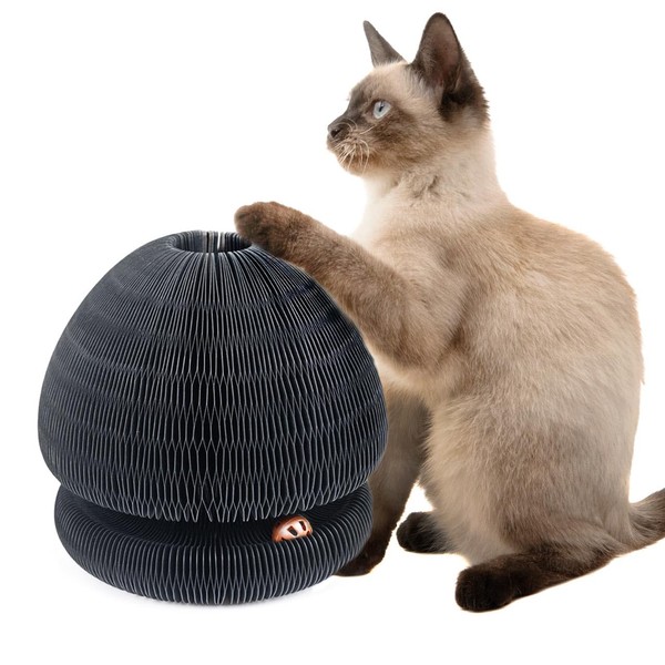 CanadianCat Company Champi Scratching Toy - Scratching Cardboard with Play