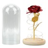 Rose in Glass Dome Lucky Beautiful Symbolism Romantic Enchanted Rose
