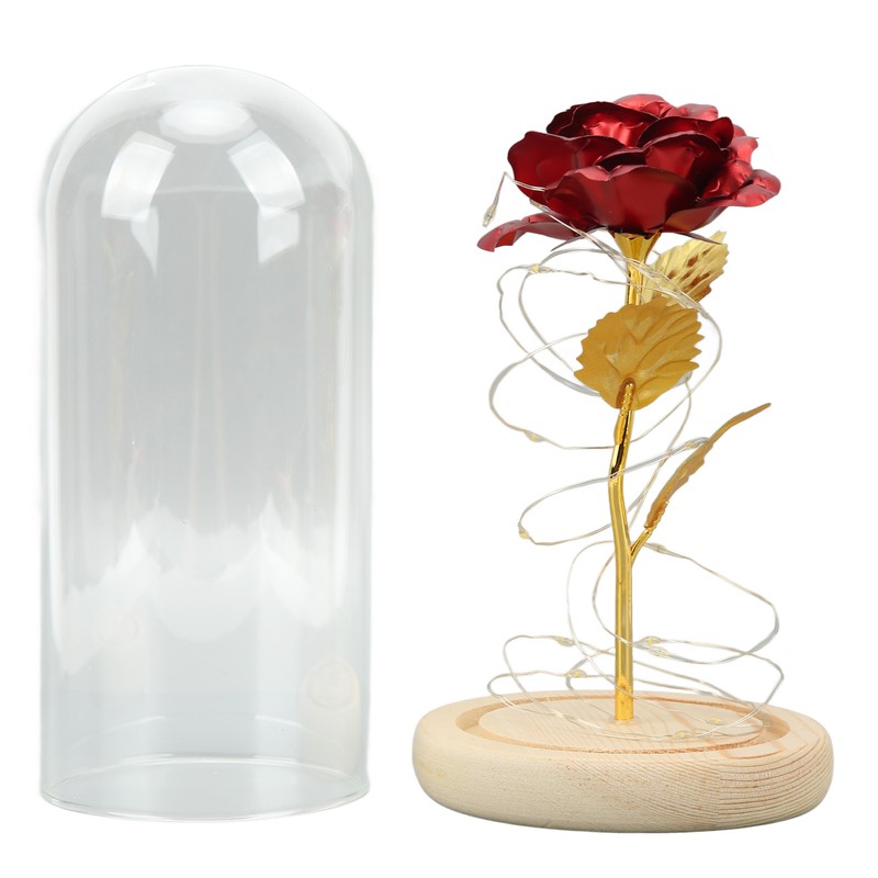 Rose in Glass Dome Lucky Beautiful Symbolism Romantic Enchanted Rose