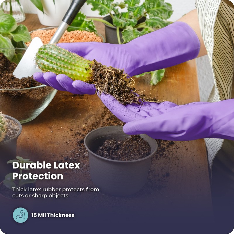 FMP Brands X-Large Purple Latex Dish Gloves, 3 Pairs, 12