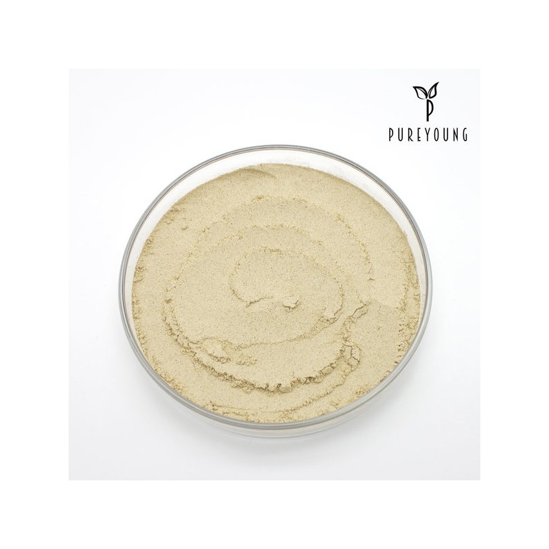 350g of sycamore powder / 우슬 분말 가루 350g 쇠무릎뿌리