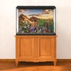 MIRRORANG 120x61cm Reptile Habitat Background Blue Sky Oasis Cactus Sun