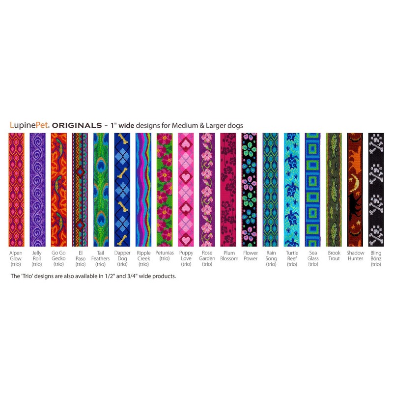 LupinePet Originals 1" Jelly Roll 12-20" Adjustable Collar for Medium